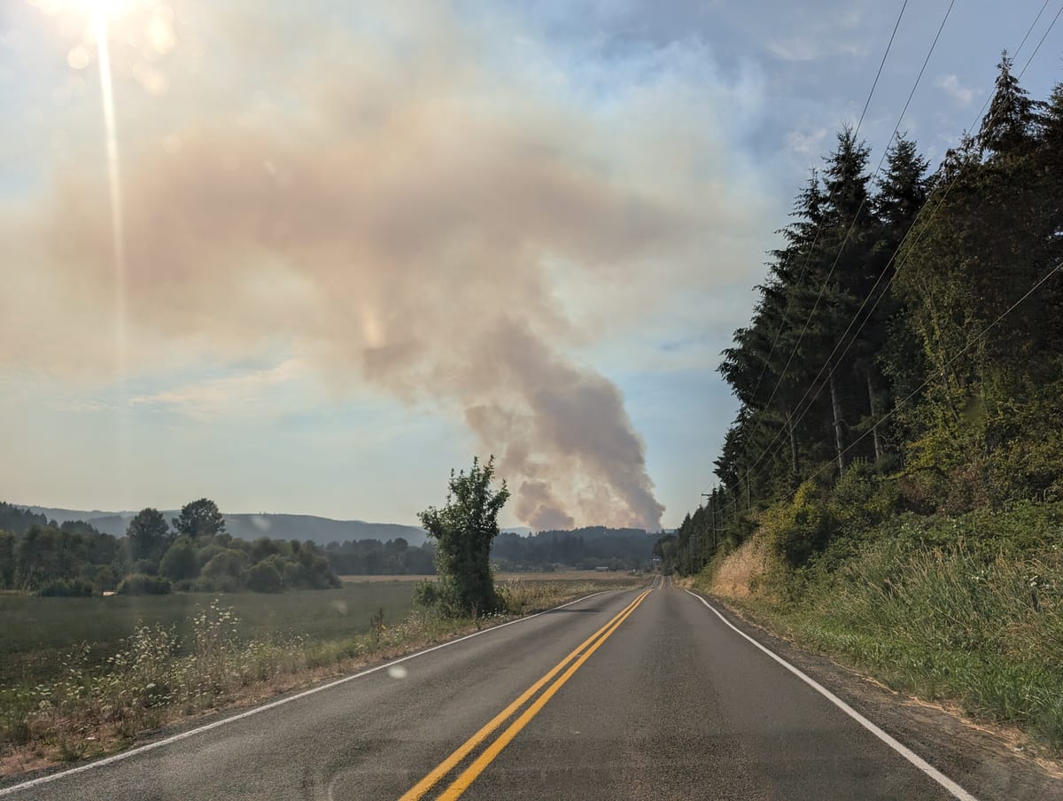 Fire danger drops to 'Moderate' in Tillamook Forest