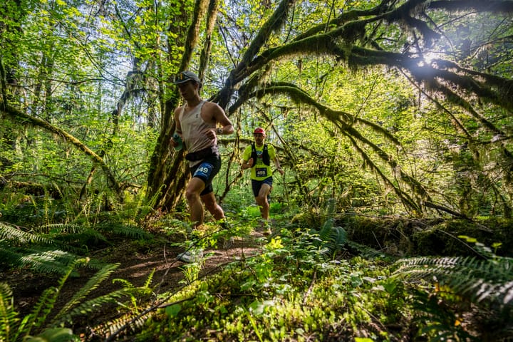 Runners tackle the Tillamook Forest in three-day Tillamook Burn Trail Run