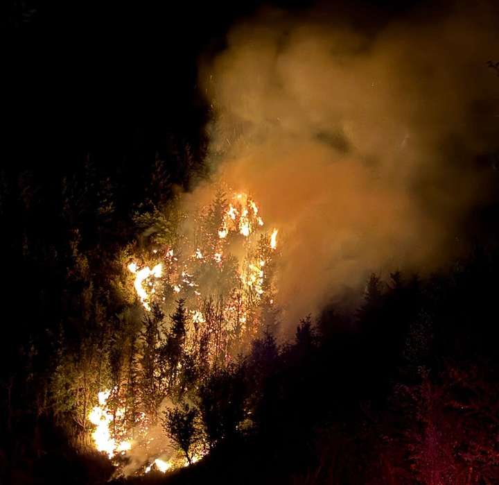 Forestry officials urge firearm safety in Tillamook Forest after five firearm-related fires